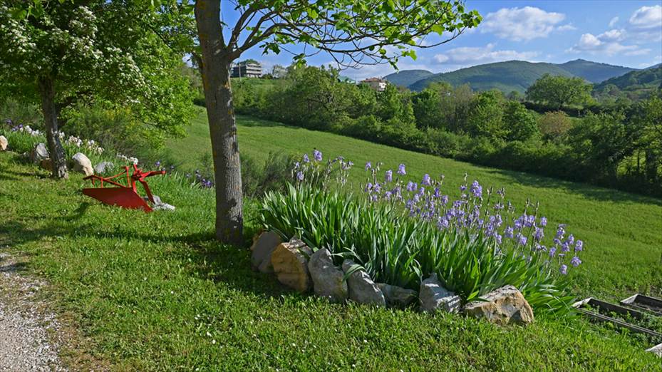 Agriturismo Gioie di Campagna