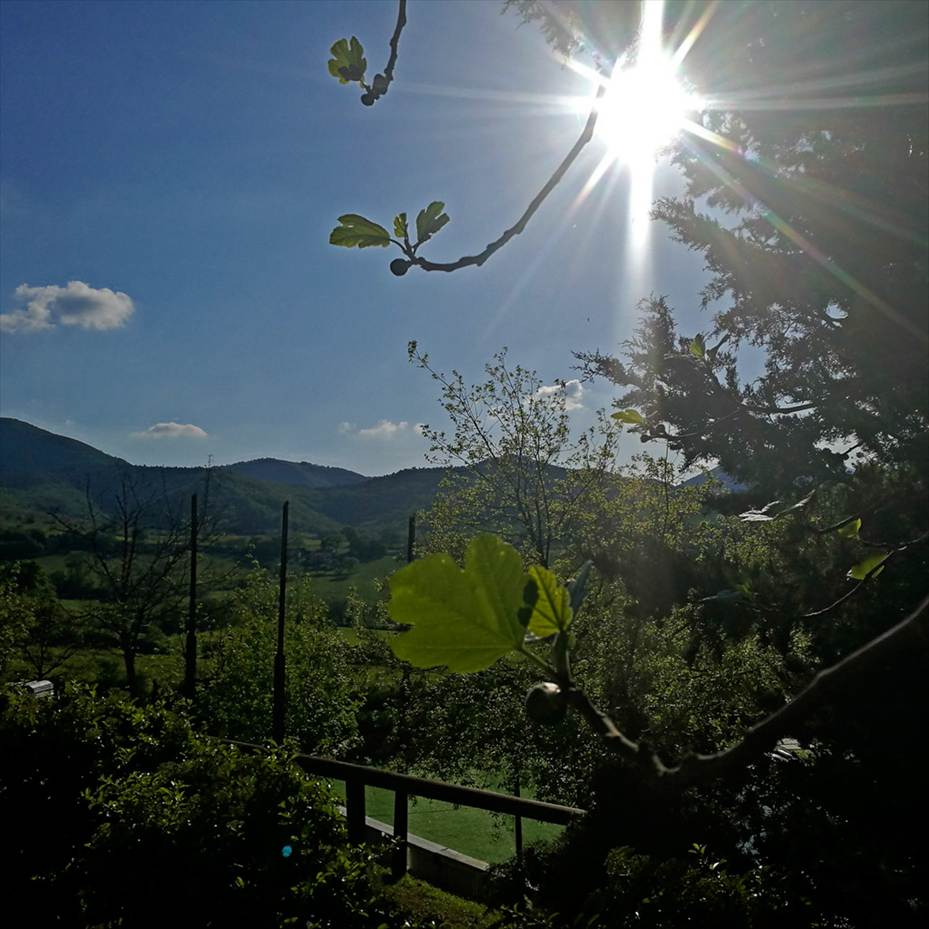 Agriturismo Gioie di Campagna